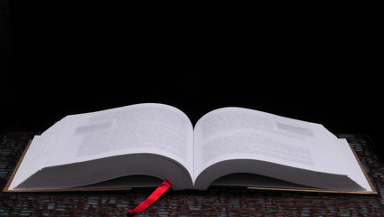 关于有趣的动物二年级的写话