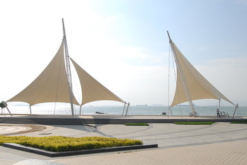 药学专业知识一考点：片剂的辅料