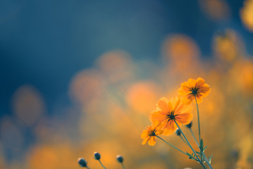 世界地球日主题活动幼儿园教案