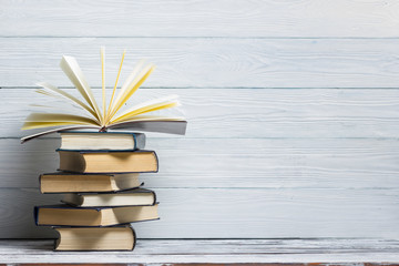 关于有趣的动物二年级的写话