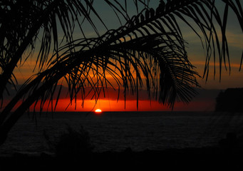 大班秋季学期班主任工作计划