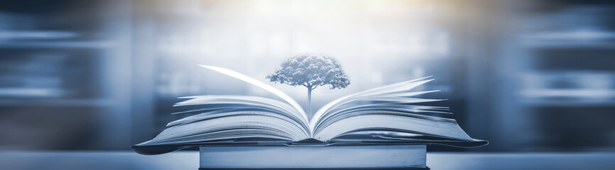 怎样学好历史初一诀窍