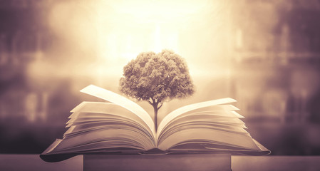 艺术节手抄报简介艺术节手抄报内容写什么