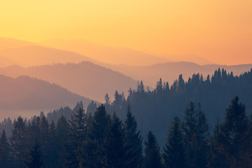 大学生智能家居创业计划书