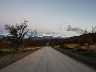 花的象征意义有哪些？