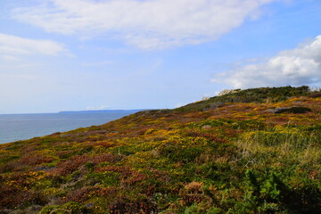 急求初中版《海底两万里》每一篇的读书笔记！！！