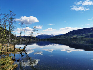 查重包括引用的文献吗