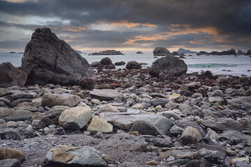 世界地球日主题活动幼儿园教案