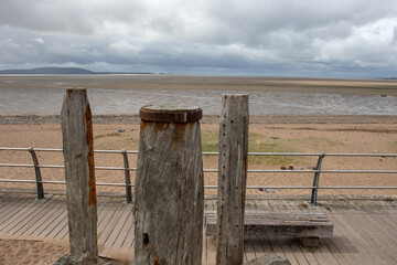 关于有趣的动物二年级的写话