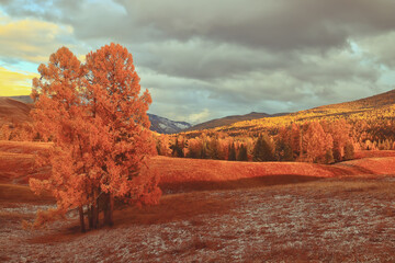 艺术节手抄报简介艺术节手抄报内容写什么