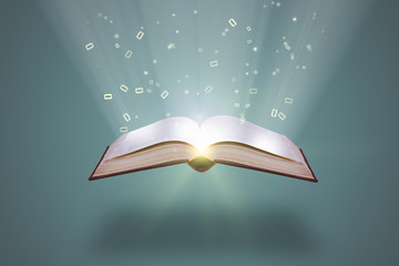 beach和bitch发音区别是什么？