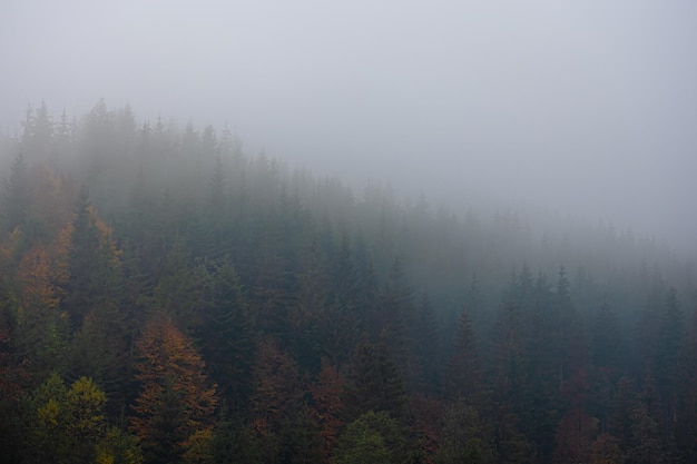 史前星球怎么灭绝