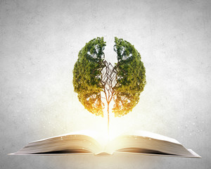 关于有趣的动物二年级的写话