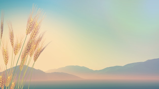 世界上第一宝物是什么,世界十大宝藏排名？