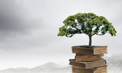 关于有趣的动物二年级的写话