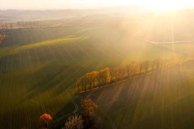 我国紧缺的12类人才